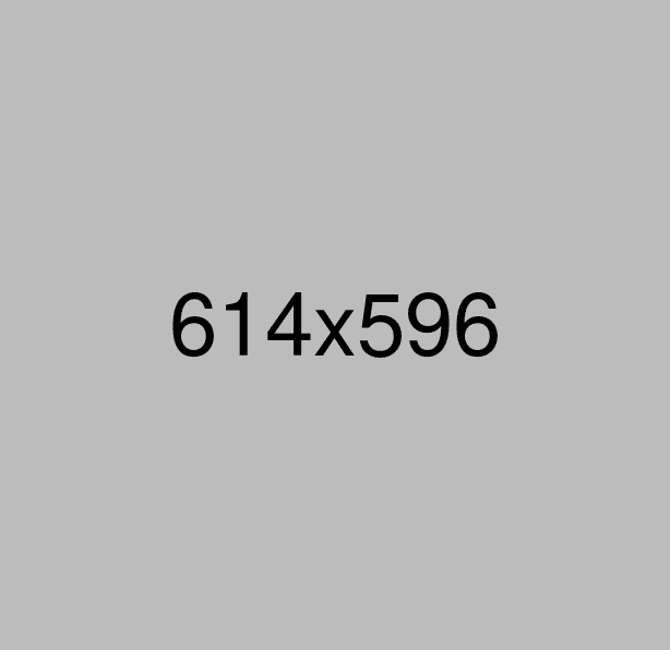Ecommerce Order Support